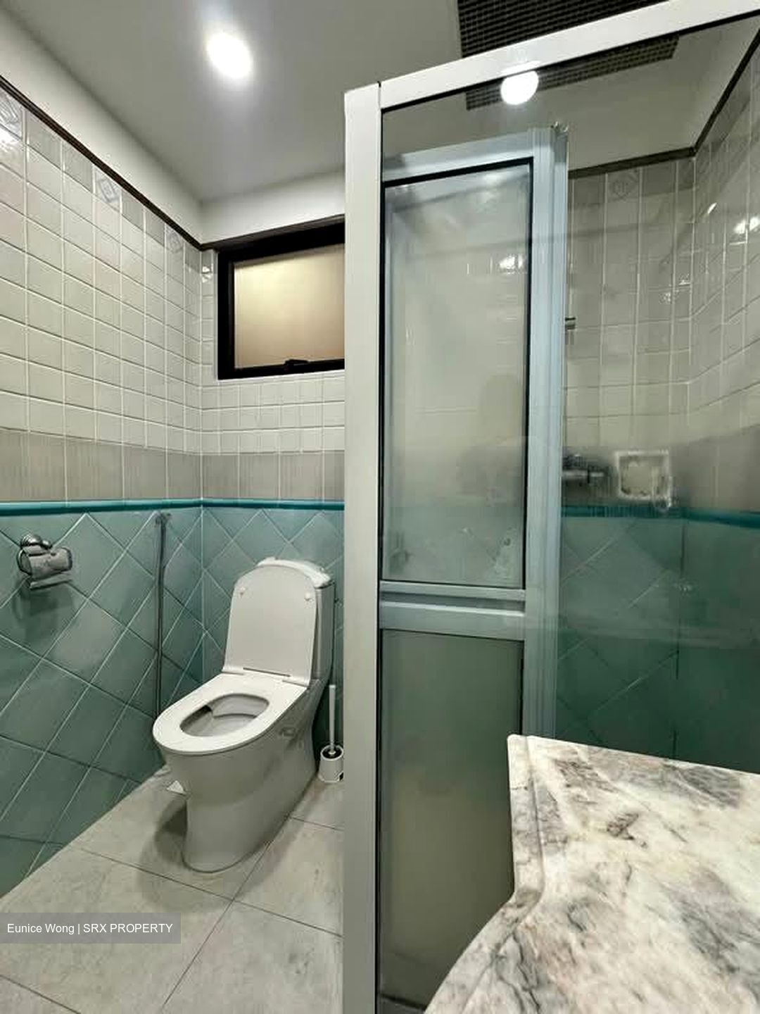 Dover Parkview (D5), Condominium #591930051